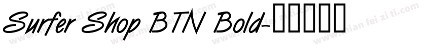 Surfer Shop BTN Bold字体转换